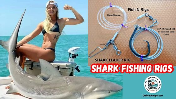 Image of a lady angler posing with a large shark with an inset image of a shark rig used in shark fishing