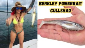 Berkley Powerbait Cullshad featured image showing the bait in the palm of a hand next to an image of a lady angler holding up a nice speckled trout as she stands in a boat.