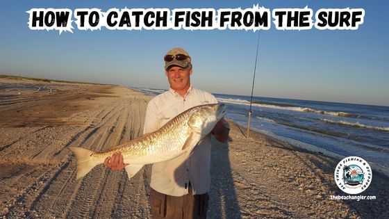 How to catch fish from the surf featured image showing author holding an oversized red drum while standing on the beach with the surf in the background.