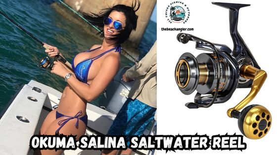 Okuma Salina Spinning Reel featured image showing a lady angler standing in a boat fishing, and an enlarged image of the Okuma Salina Spinning Reel.