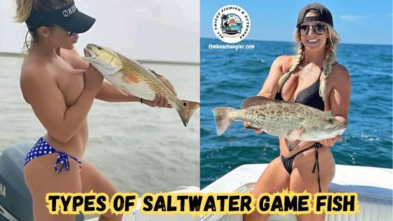 Types of Saltwater Fish to Target featured image showing a lady angler with a large red drum and another lady angtler with a grouper.