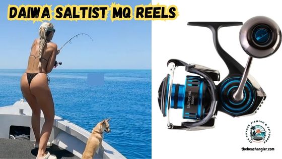 Daiwa Saltist MQ Featured Image showing a lady angler and her dog standing in the bow of a boat and fighting a fish next to an enlarged image of the Daiwa Saltist MQ Spinning Reel.