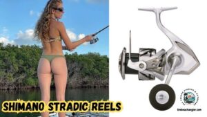 Shimano Stradic Reels Feature image showing a lady angler standing in a boat about to make a cast next to an image of the Shimano Stradic spinning reel.