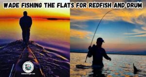 Wade fishing the Flats for Redfish and Black Drum featured image showing two anglers wading at dawn. One is landing a nice fish, and the other is towing his kayak behind him.