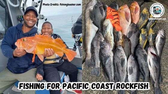 Fishing for Pacific Coast Rockfish featured image showing a father and son holding up a large rockfish next to an image of other rockfish they caught.