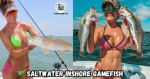 The Inshore Fishing Saltwater Gamefish featured image shows two lady anglers, one holding a nice redfish and the other holding two slot-speckled trout.