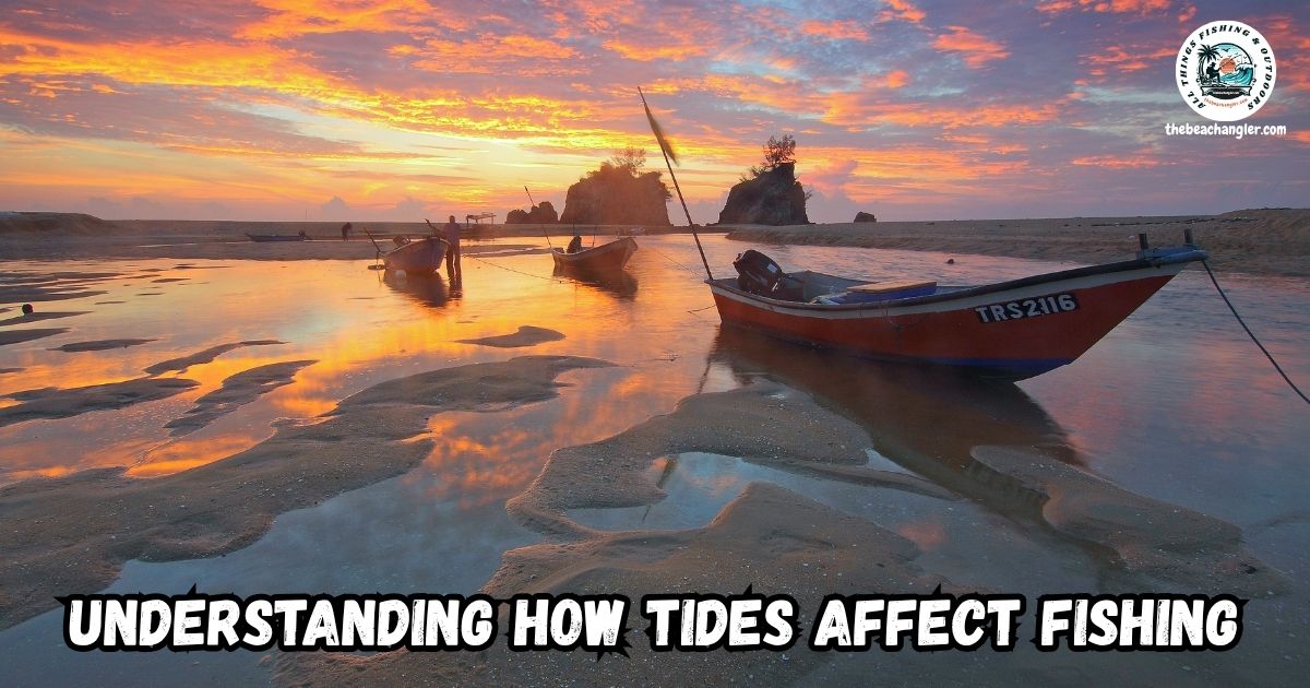 Understanding Tides and how the Affect Inshore Fishing. Image of several boats stranded on the bottom of the bay at low tide.
