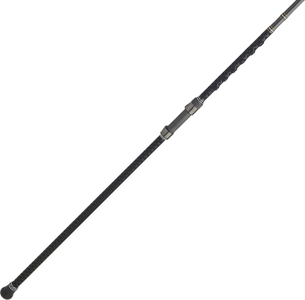 Penn Carnage III surf casting rod