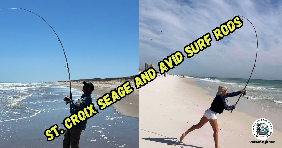 St Croix Seage and Avid surf rods featured image with a photo of the author fighting a fish on the beach next to a photo of a lady angler making a cast from the beach into the surf.