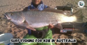 Surf Fishing for Kob in Australia featured image showing a beach angler kneeling on the sand holding up a very large Kob, or Mulloway.