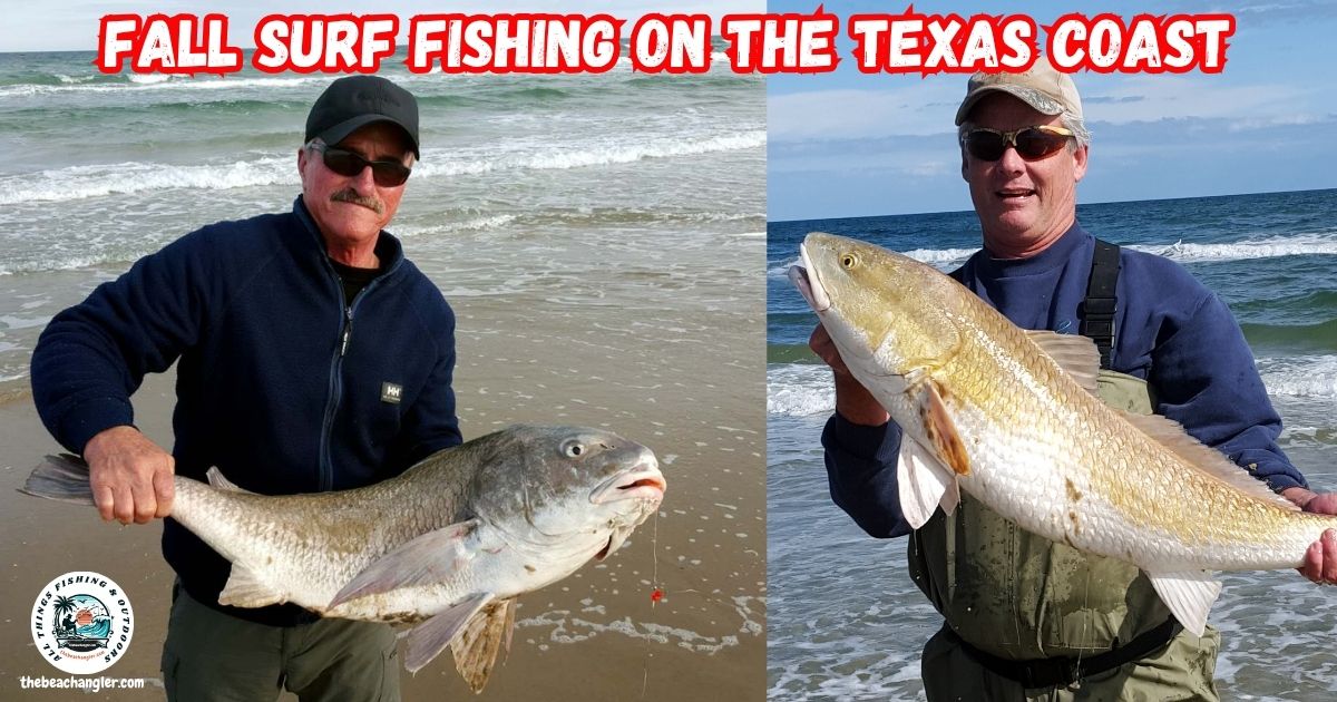 Fall Surf Fishing on the Texas Gulf Coast featured image showing two anglers on the beach, one holding an oversized black drum, and the other a bull red drum.