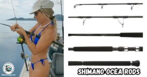 Shimano Ocea Rods review featured image showing a lady angler fighting a fish with her Shimano OCEA rod.