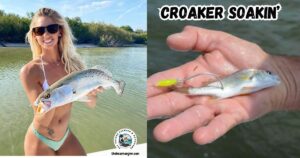 Croaker Soakin' for Speckled Trout featured image showing lady angler with a nice speckled trout next to an image of a croaker rigged and ready to fish.