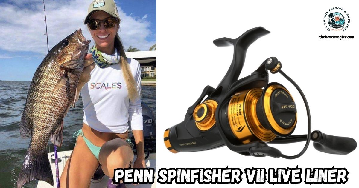 Penn Spinfisher VII Live Liner Spinning Reel featured image.