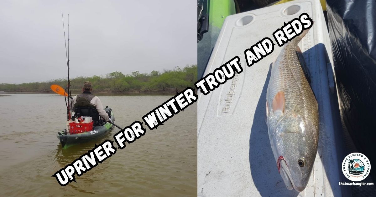 Upriver for cold weather trout and redfish featured image showing a kayak angler heading up river.