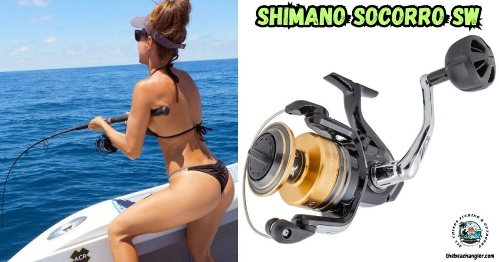 Shimano Socorro SW Spinning Reel featured image.