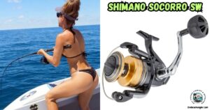 Shimano Socorro SW Spinning Reel featured image.