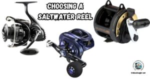 How to choose the Right Reel for Saltwater Fishing featured image.
