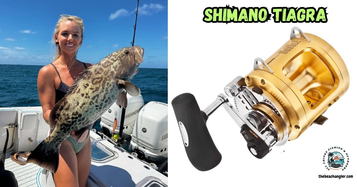Shimano Tiagra featured image showing @capt.ericalynn with a nice grouper.