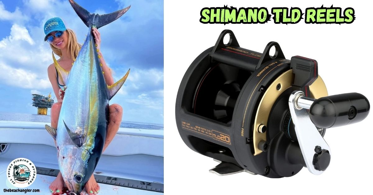 Shimano TLD Reels featured image showing a lady angler in a boat holding a large yellowfin Tuna.