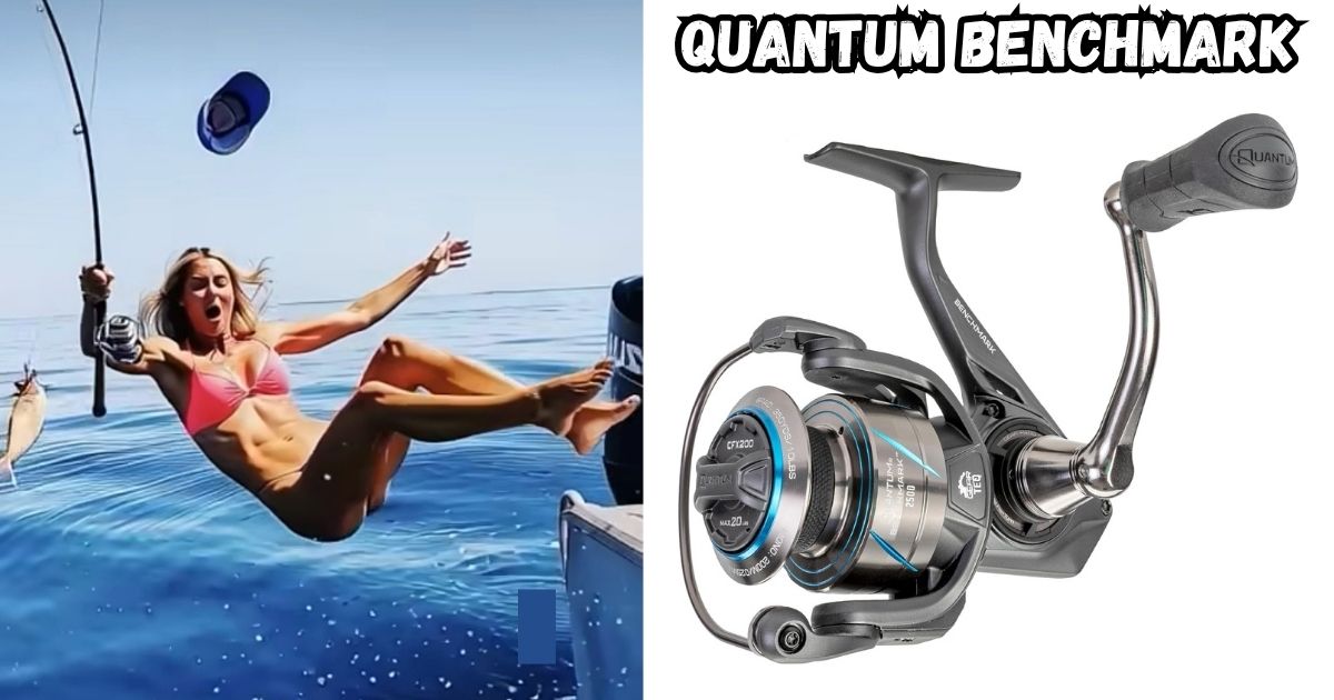 Quantum Benchmark Spinning Reel featured image.
