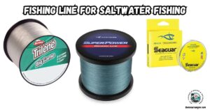 Fishing Lines for Saltwater Fishing featured image