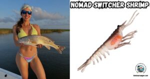 Nomad Switcher Shrimp featured image showing a lady angler standing in a boat holding a slot red drum.