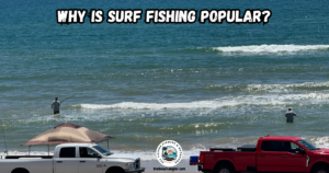 Why is surf fishing popular featured image.