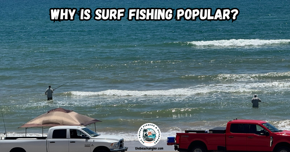 Why is surf fishing popular featured image.