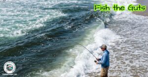 Fish the Guts for Surf Fishing Success featured image.