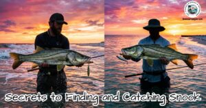 Secrets to finding and Catching Snook featured image.