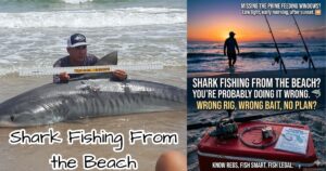 Beach Shark Fishing Tips for Beginners featured image.